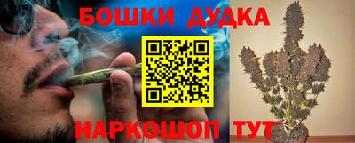наркотики Новозыбков