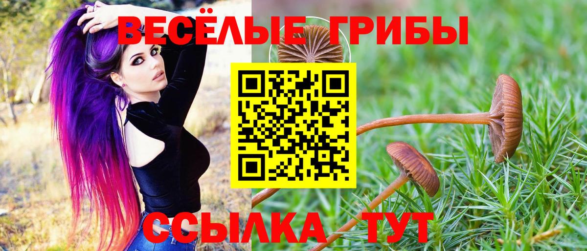 Галлюциногенные грибы GOLDEN TEACHER Иркутск