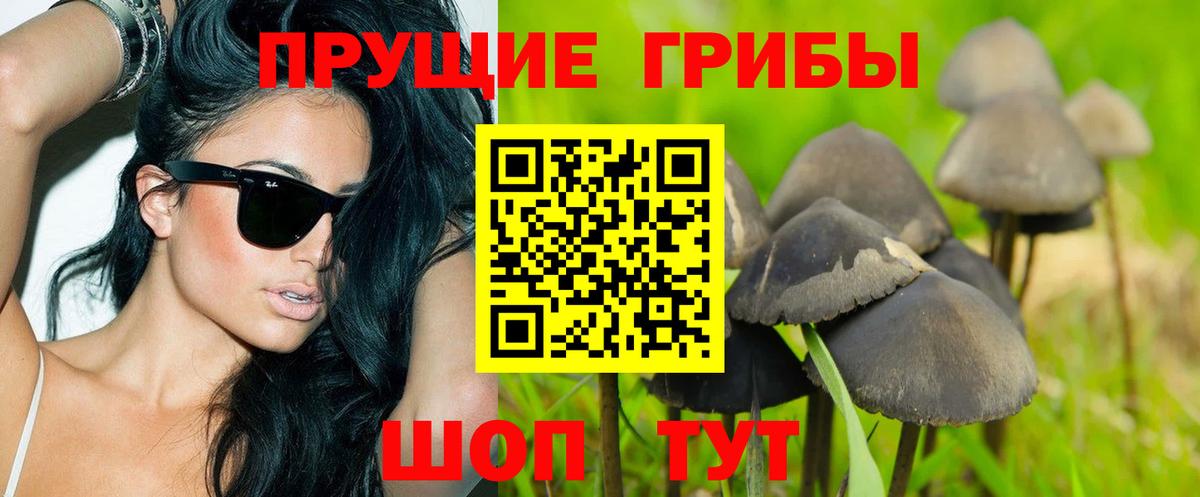 Галлюциногенные грибы Psilocybe  Галлюциногенные грибы Psilocybine cubensis  Иркутск  Вход с VPN 